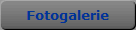 Fotogalerie